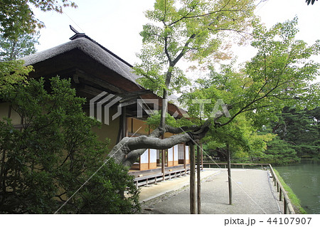 《宮城県》 岩出山 旧有備館および庭園 《宮城県》 岩出山 旧有備館および庭園 44107907