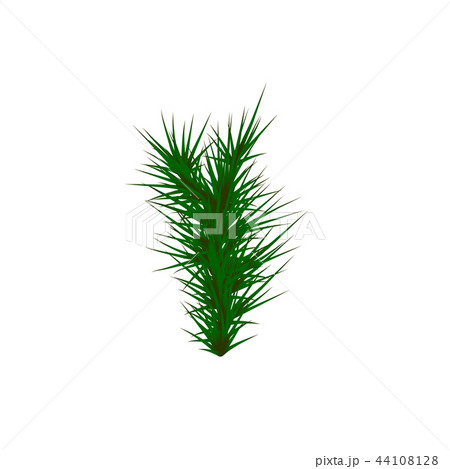 Set of Green grass. Green Grass White Background. Set of Green grass. Green Grass White Background. 44108128