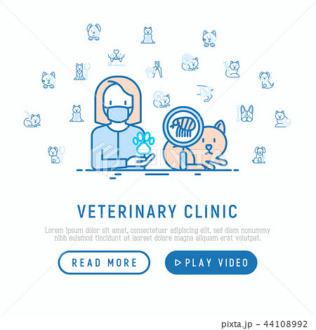 Veterinary clinic: treatment from tick for cat Veterinary clinic: treatment from tick for cat 44108992