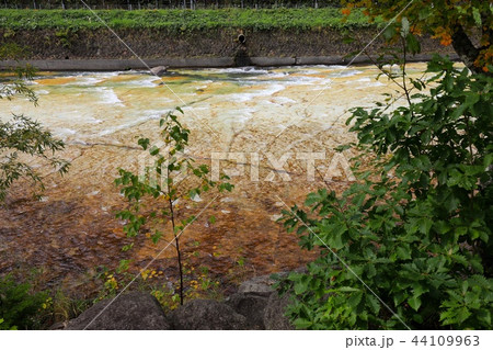 初秋の白絹の床 初秋の白絹の床 44109963