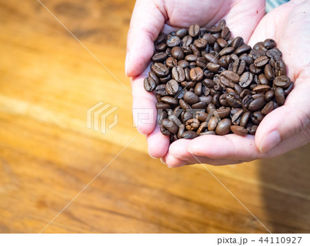コーヒー豆 珈琲豆 コーヒービーンズ 44110927