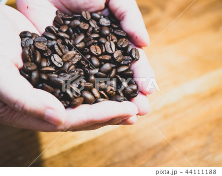 コーヒー豆 珈琲豆 コーヒービーンズ 44111188
