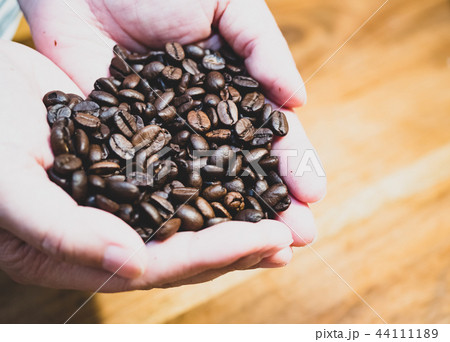 コーヒー豆 珈琲豆 コーヒービーンズ 44111189