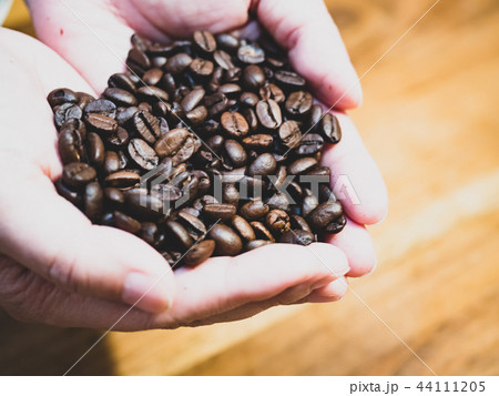 コーヒー豆 珈琲豆 コーヒービーンズ 44111205