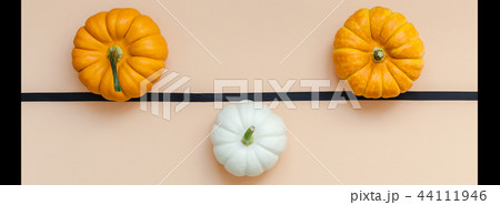 Fall background with small pumpkins 44111946