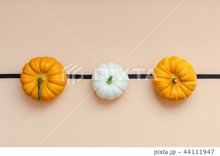 Fall background with small pumpkins 44111947