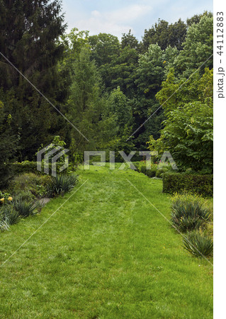 Summer landscape with green lawn, path to forest Summer landscape with green lawn, path to forest 44112883