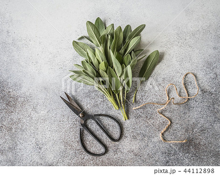 A bunch of fresh sage on a gray background A bunch of fresh sage on a gray background 44112898