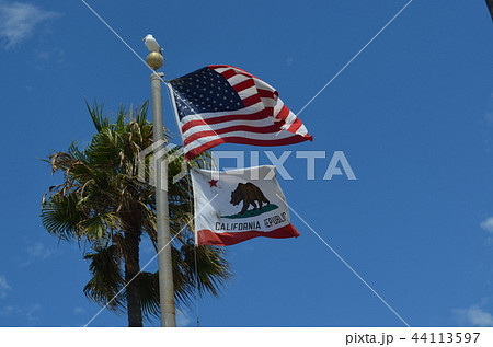 アメリカ国旗 カリフォルニア州旗の写真素材
