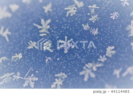 雪の結晶 雪の結晶 44114465