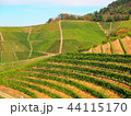 秋のブドウ畑　ドイツ・バーデン地方 44115170