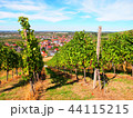 秋のブドウ畑　ドイツ・バーデン地方 44115215