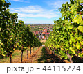 秋のブドウ畑　ドイツ・バーデン地方 44115224