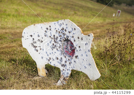 Shooting range out in the open Shooting range out in the open 44115299