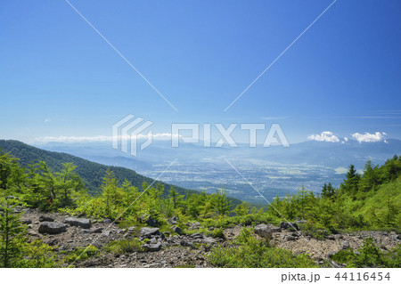 夏の終わりの池の平湿原 放開口 夏の終わりの池の平湿原 放開口 44116454
