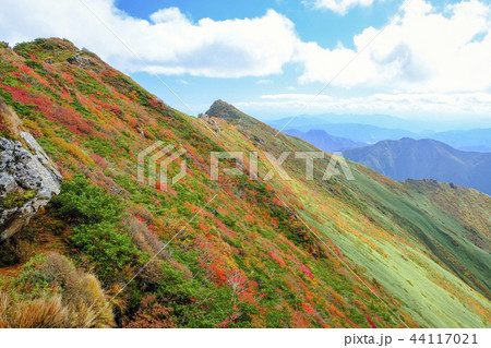 紅葉のオキノ耳とトマノ耳 44117021