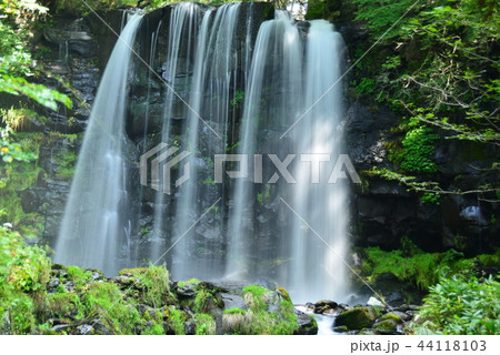 夏の唐沢の滝 夏の唐沢の滝 44118103