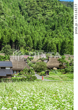 京都　美山　かやぶきの里 44118277