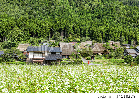 京都　美山　かやぶきの里 44118278