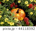 ハロウィン　花畑の中のおめかししたかぼちゃ 44118392