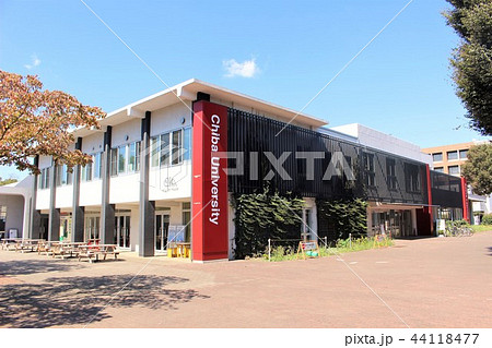 千葉大学 44118477