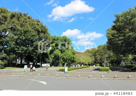 千葉大学 キャンパス 千葉大学 キャンパス 44118483
