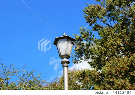 千葉大学　キャンパス 44118484