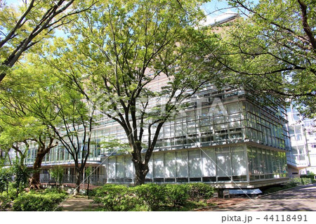 千葉大学　図書館 44118491