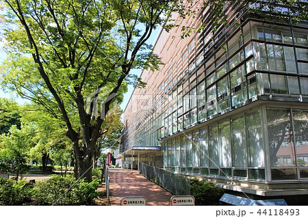 千葉大学　図書館 44118493