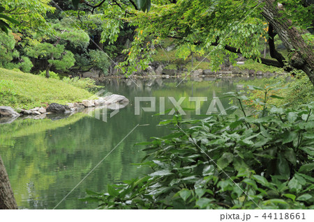 浅草 浅草寺本坊　伝法院庭園の池 44118661