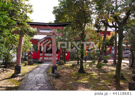 新日吉神宮 山口稲荷社 新日吉神宮 山口稲荷社 44118681