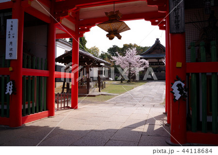 新日吉神宮 44118684