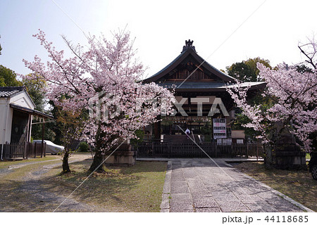 新日吉神宮 44118685