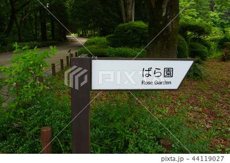 神代植物園バラ園 44119027