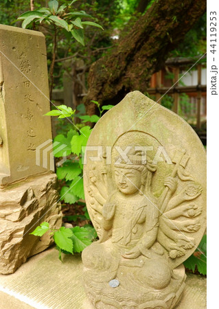 深大寺 44119253