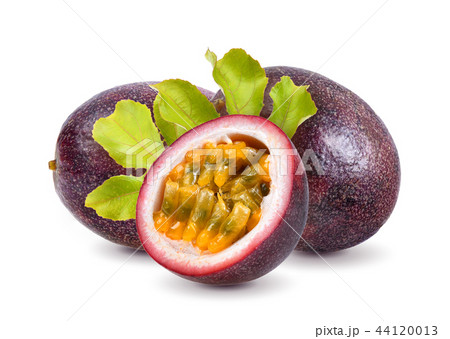 passion fruit with leaf on white background passion fruit with leaf on white background 44120013