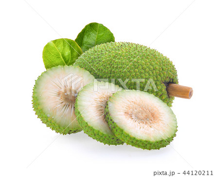 breadfruit isolated on white background breadfruit isolated on white background 44120211