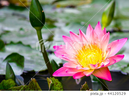 台湾 台北 台北市 44120529