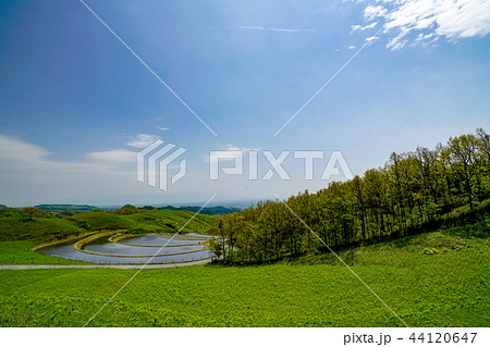 扇棚田　産山村 44120647