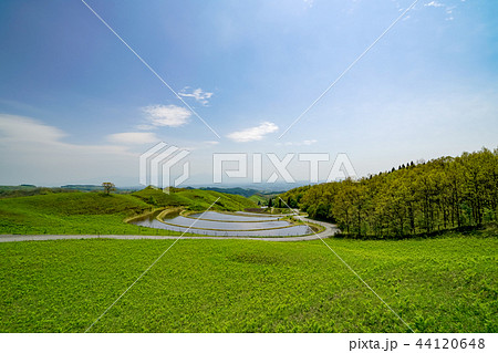 扇棚田 産山村 扇棚田 産山村 44120648