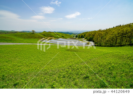 扇棚田 産山村 扇棚田 産山村 44120649