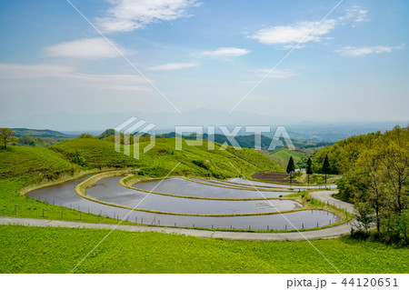 扇棚田　産山村 44120651