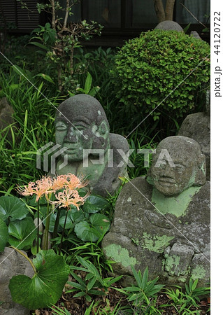 秋の花と羅漢像 44120722