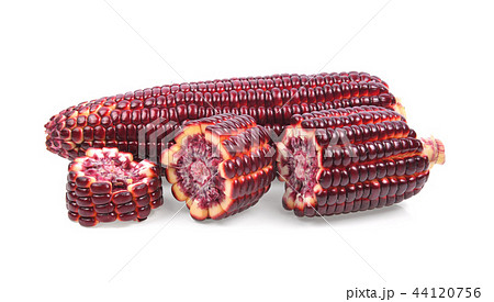Fresh purple corn isolated on white background 44120756