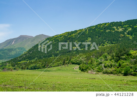 久住高原　沢水 44121228