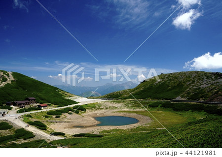 夏の乗鞍岳(撮影地:乗鞍、富士見岳付近) 夏の乗鞍岳(撮影地:乗鞍、富士見岳付近) 44121981