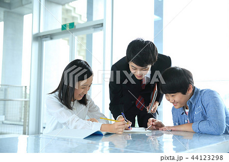 勉強する学生 勉強する学生 44123298