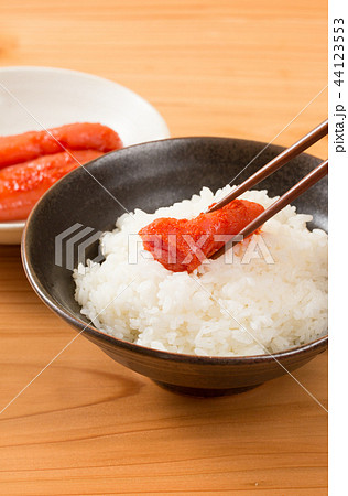 辛子明太子をご飯の上にのせる 辛子明太子をご飯の上にのせる 44123553