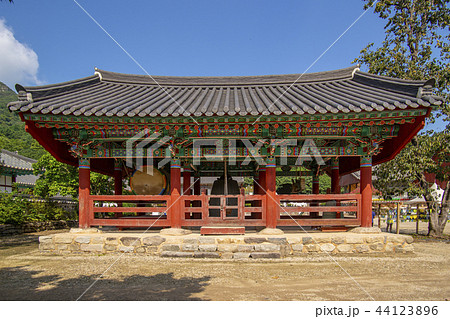 禅雲寺 植物 自然 44123896
