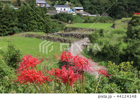 里山の秋 里山の秋 44124148